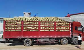 專業(yè)物流運(yùn)輸，保障發(fā)貨快速順暢